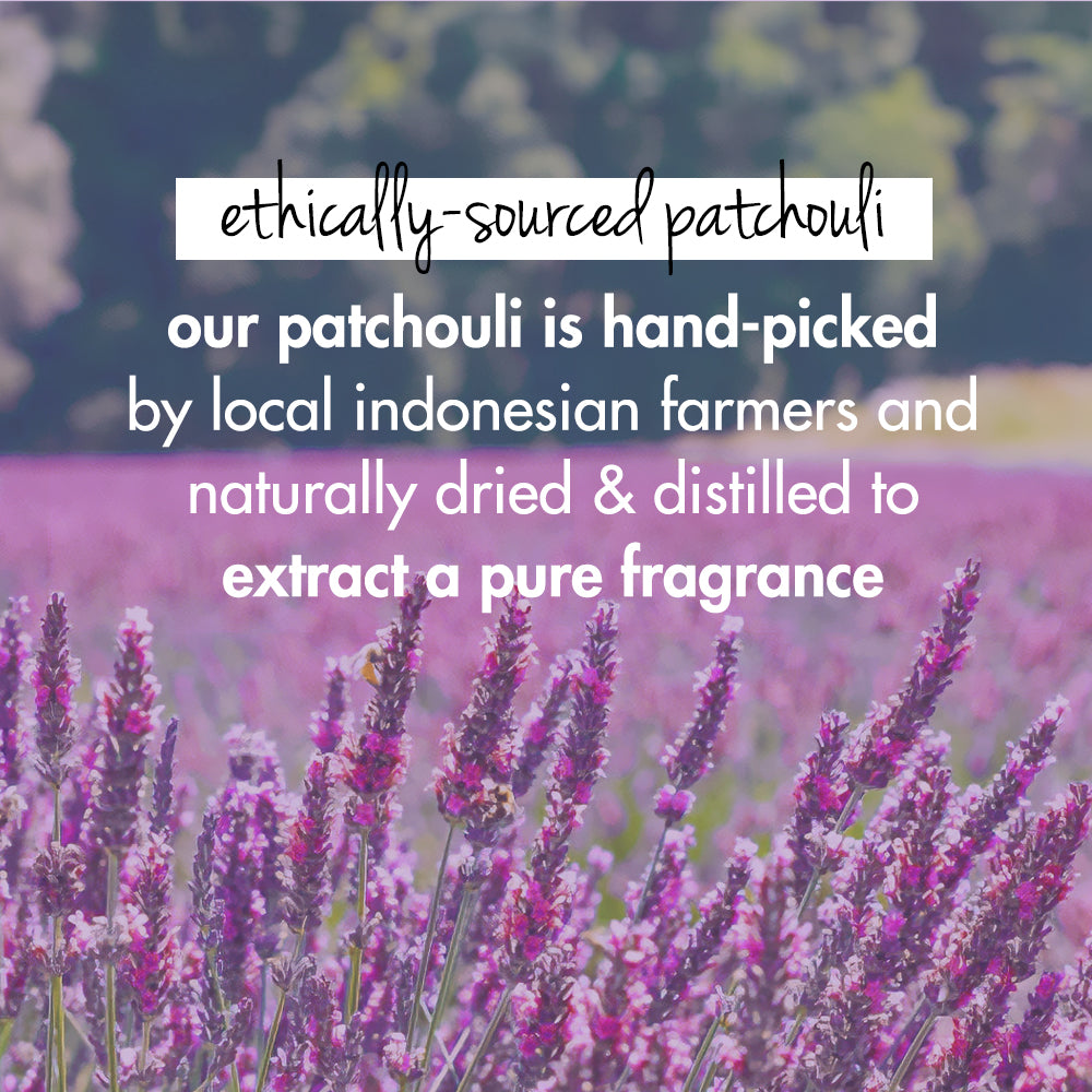 Onion, Blackseed & PatchouliÂ Hairfall Control Conditioner - 400ml