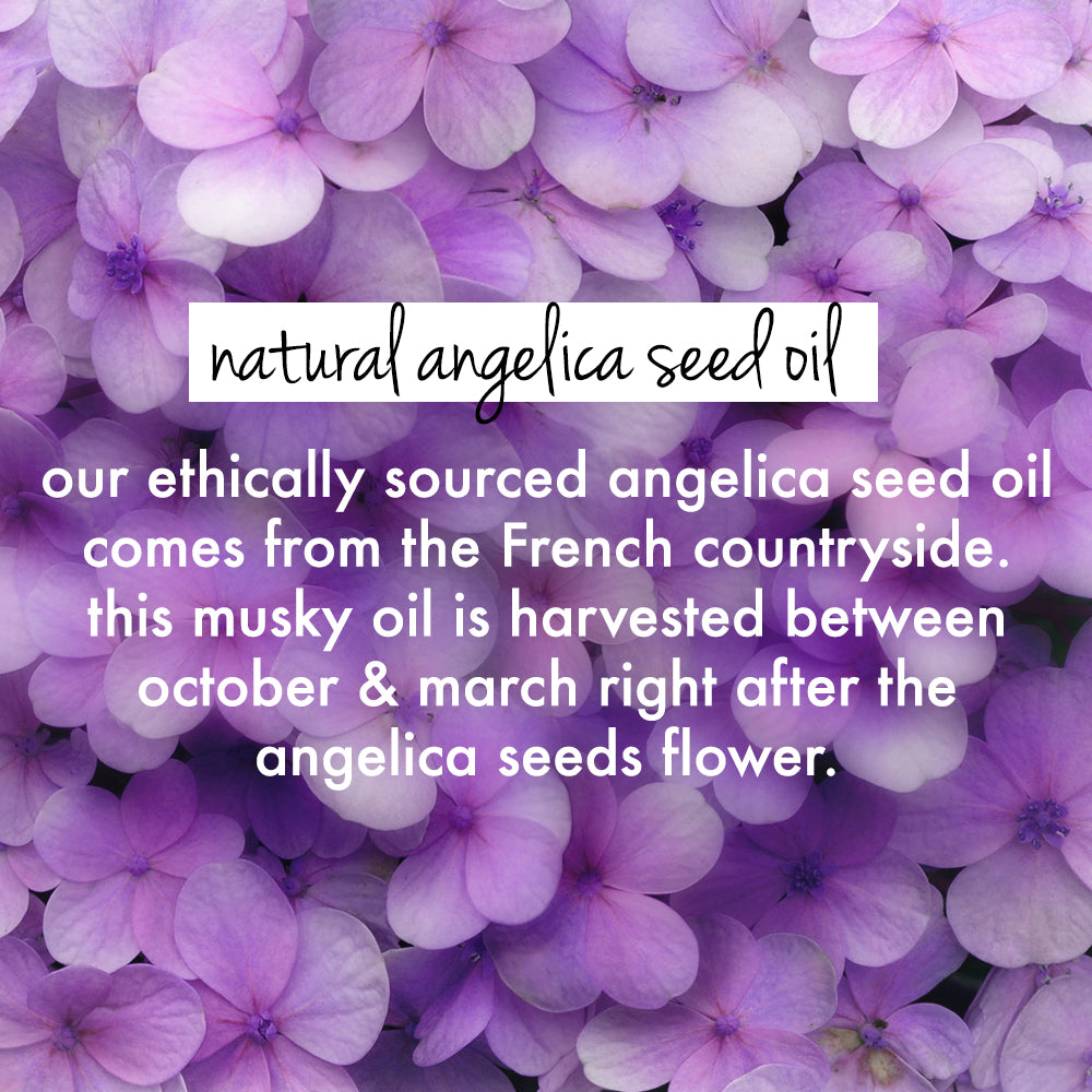 Rice Water & Angelica Seed Oil Silicone Free Shampoo For Curly & Wavy Hair- 400ml